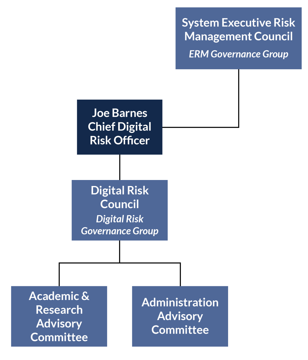 Organizational structure chart